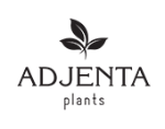 ADJENTA PLANTS ADJENTA PLANTS