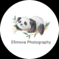 Efimova Photography Efimova Photography