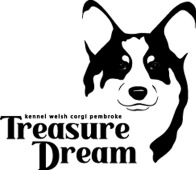 лого Treasure Dream