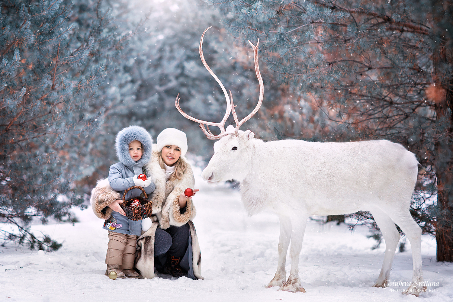 Семейная фотосессия, северный олень, фотограф Голубева Светлана