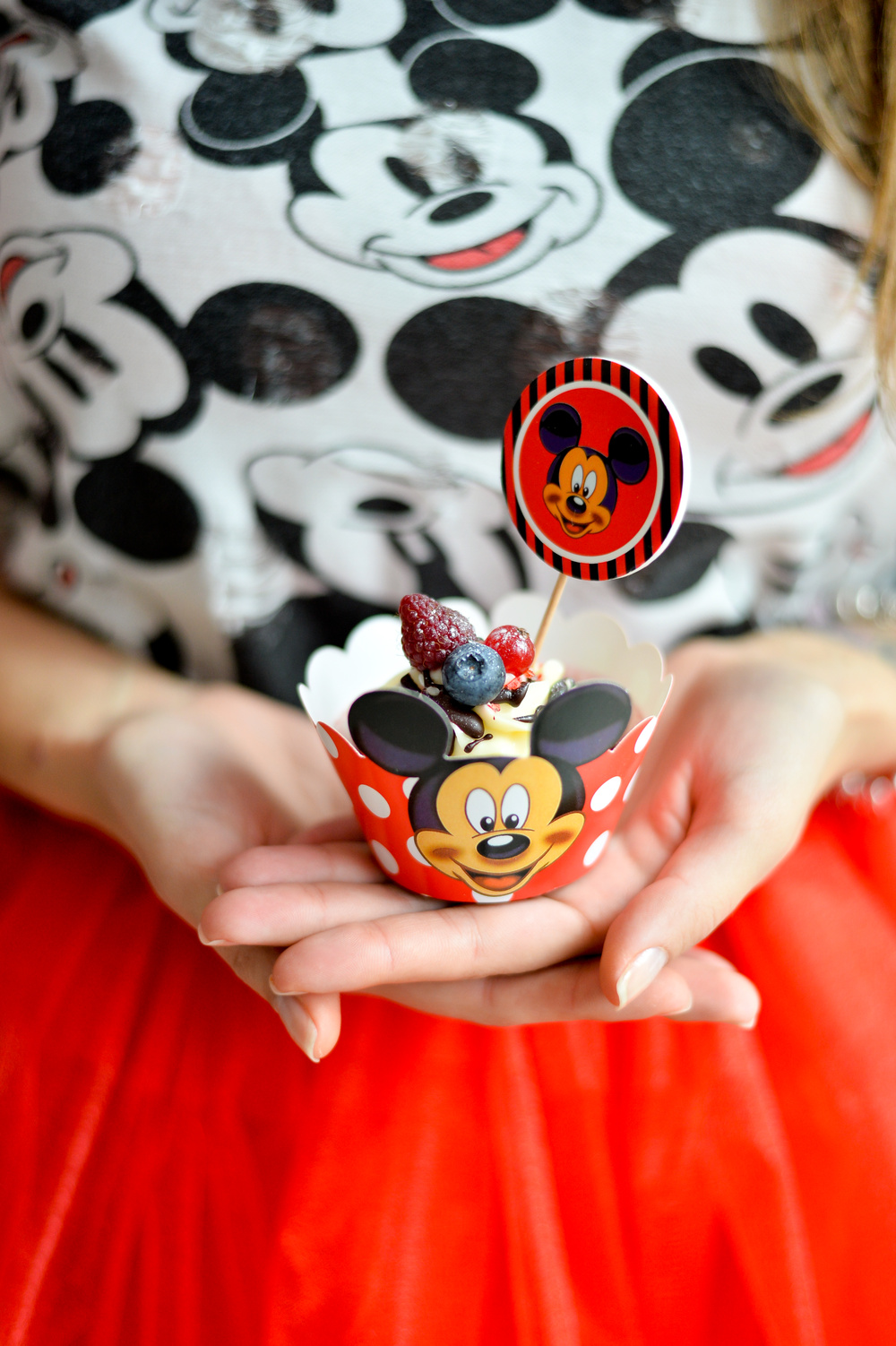 Mickey party
