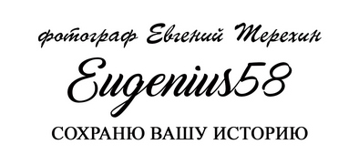 фотограф Евгений Терехин