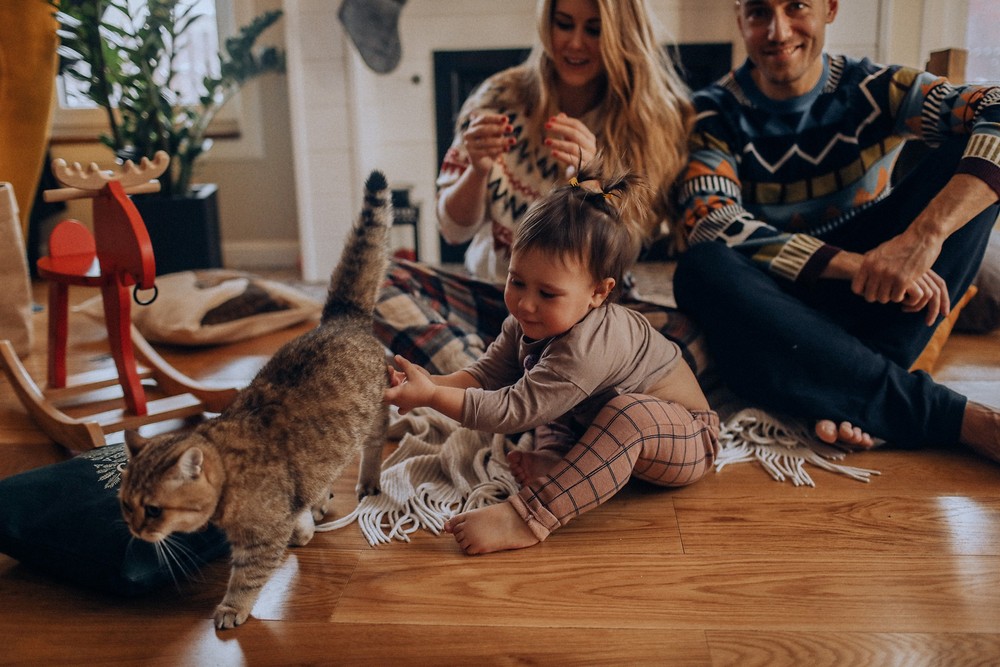 Mashaa, Max, Alisha & Mishka