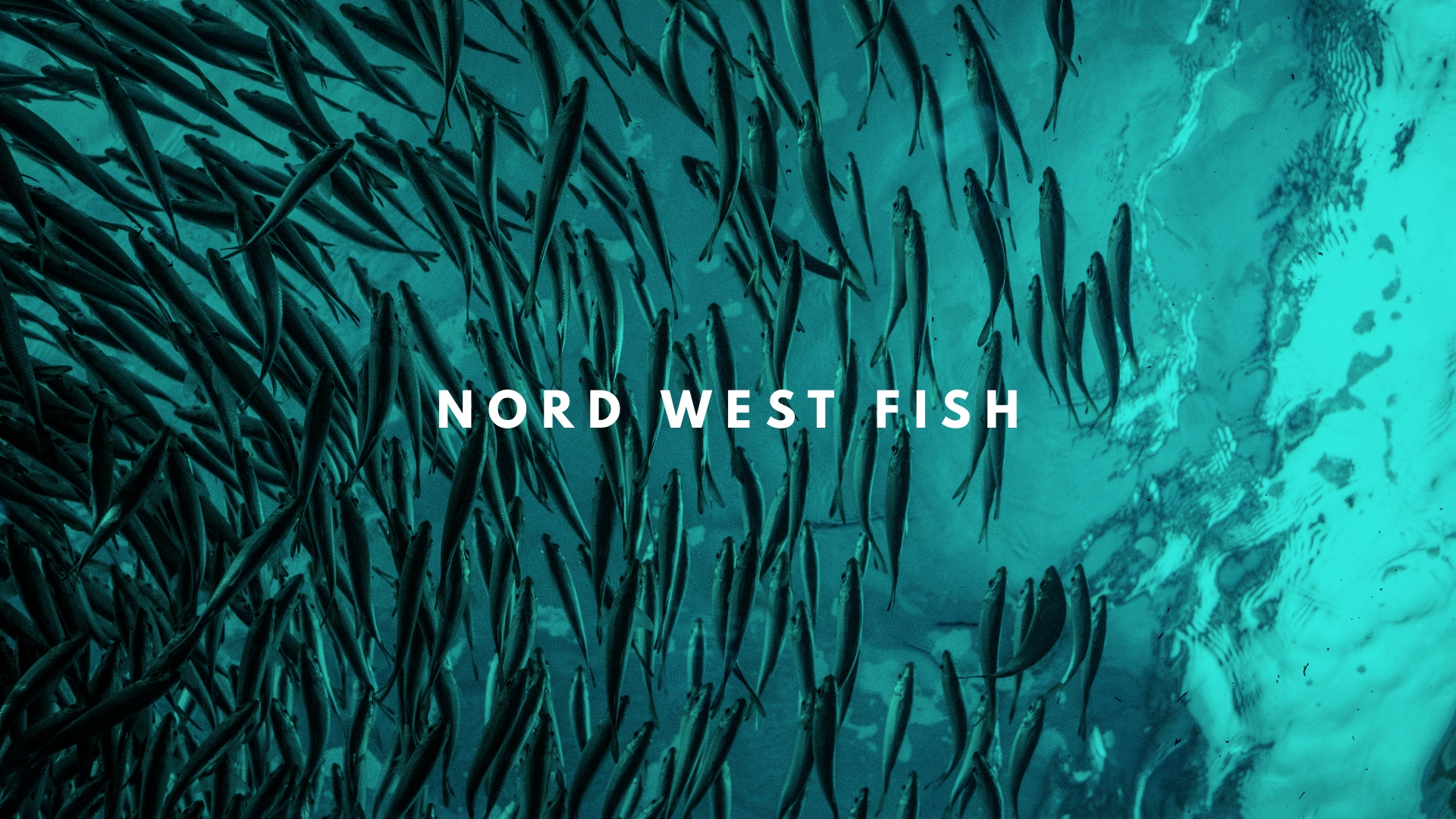 HOMEPAGE [nordwestfish.com]
