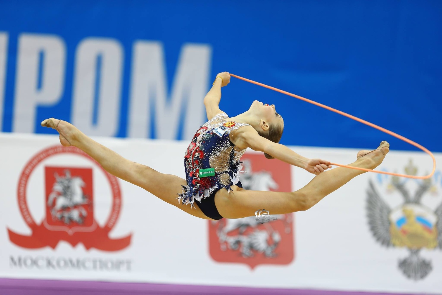 Grand Prix 2016 (Moscow)