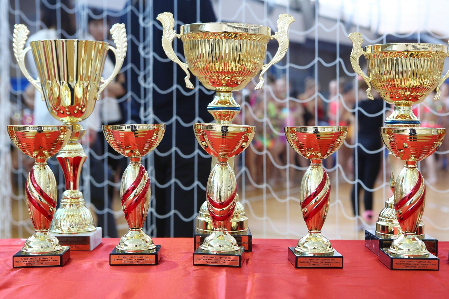 Триумф 2016