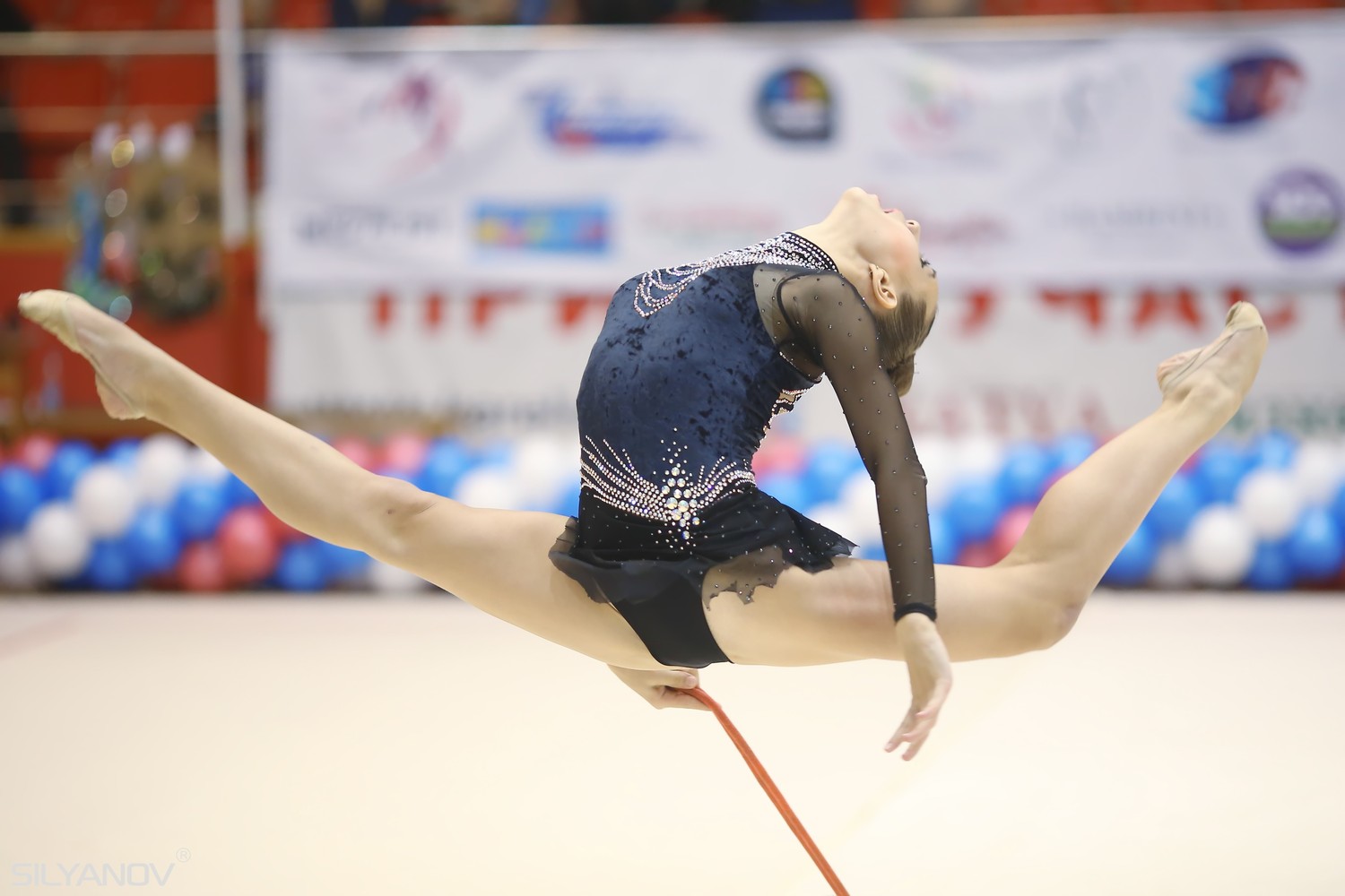 Турнир на призы двукратной олимпийской чемпионки Елены Посевиной (11-13 ноября 2016 г.Бердск)