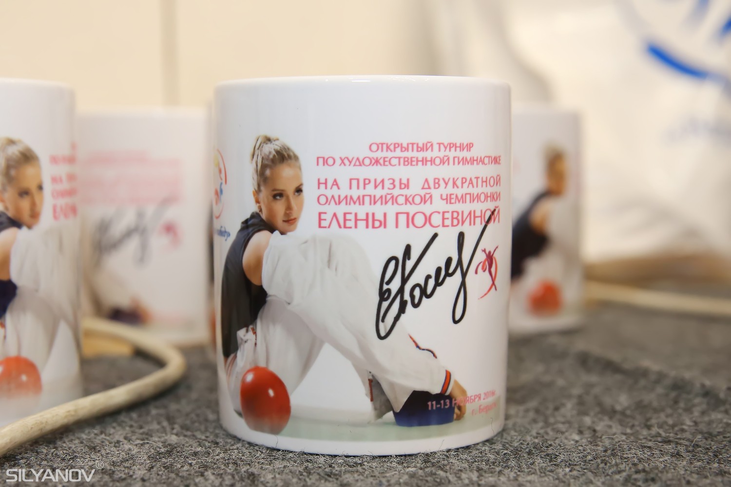 Турнир на призы двукратной олимпийской чемпионки Елены Посевиной (11-13 ноября 2016 г.Бердск)