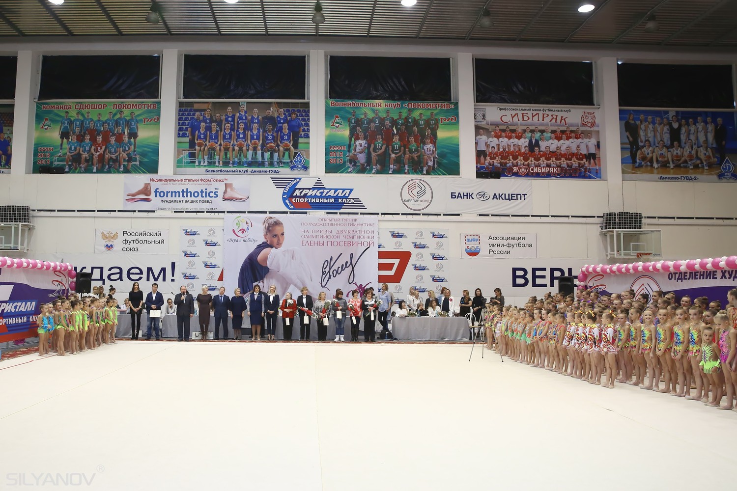 Турнир на призы двукратной олимпийской чемпионки Елены Посевиной (11-13 ноября 2016 г.Бердск)