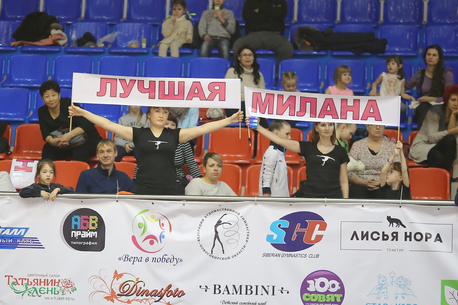 Турнир на призы двукратной олимпийской чемпионки Елены Посевиной (11-13 ноября 2016 г.Бердск)