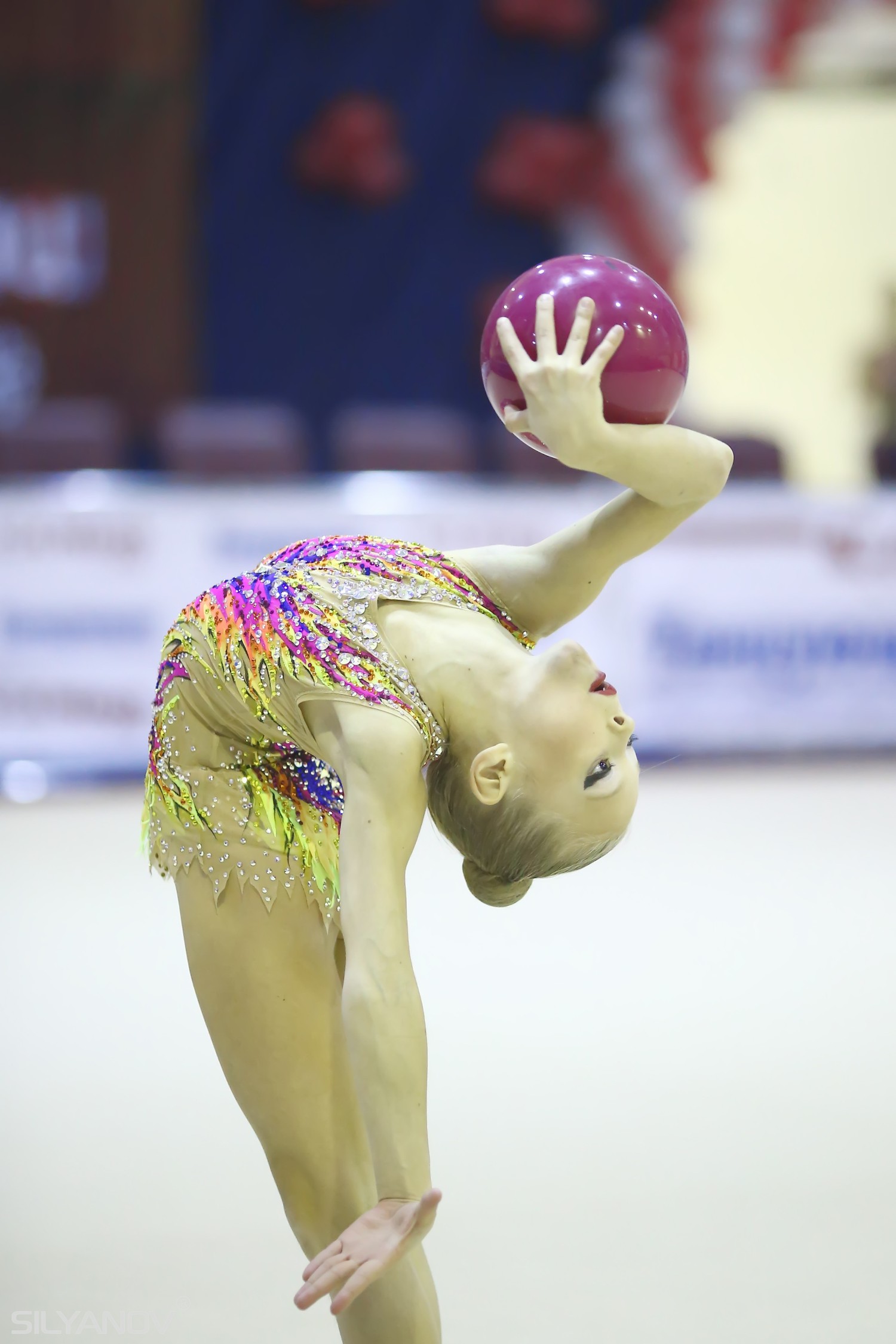 Performance Cup 2016 (17-18 декабря Москва)