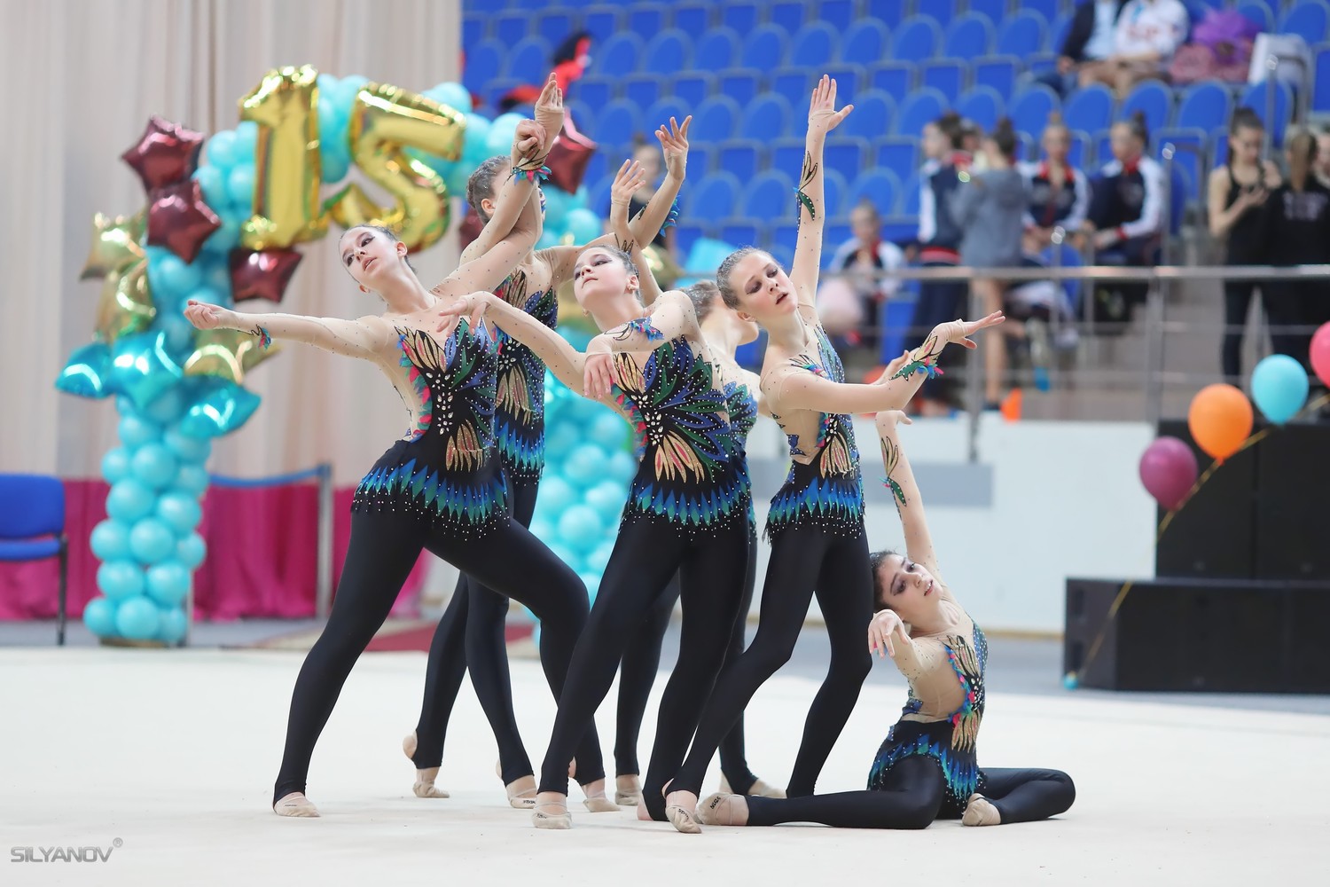 Чемпионат России по эстетической гимнастике (16 апреля 2017) Раменское