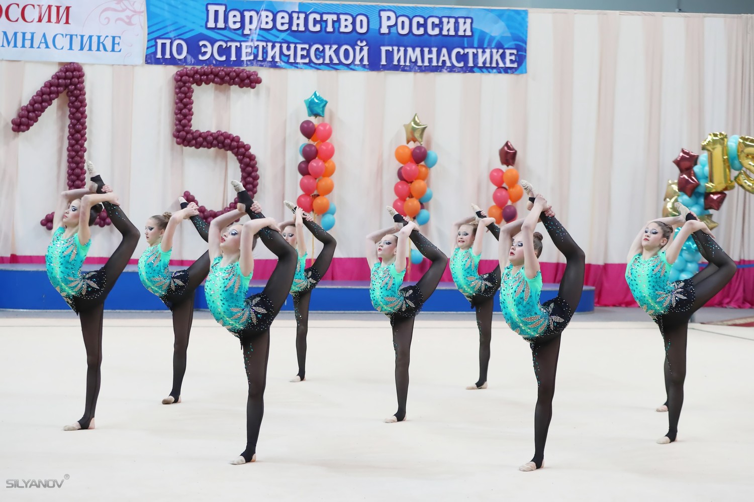 Чемпионат России по эстетической гимнастике (16 апреля 2017) Раменское
