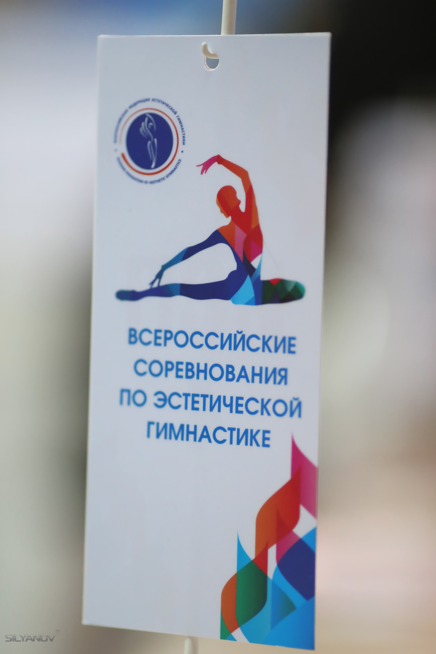 Чемпионат России по эстетической гимнастике (16 апреля 2017) Раменское