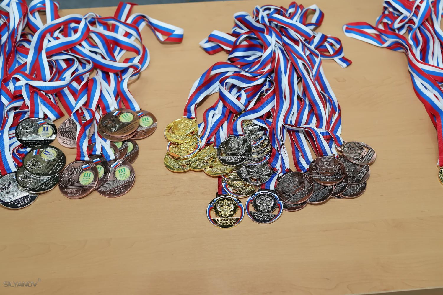 Чемпионат России по эстетической гимнастике (16 апреля 2017) Раменское