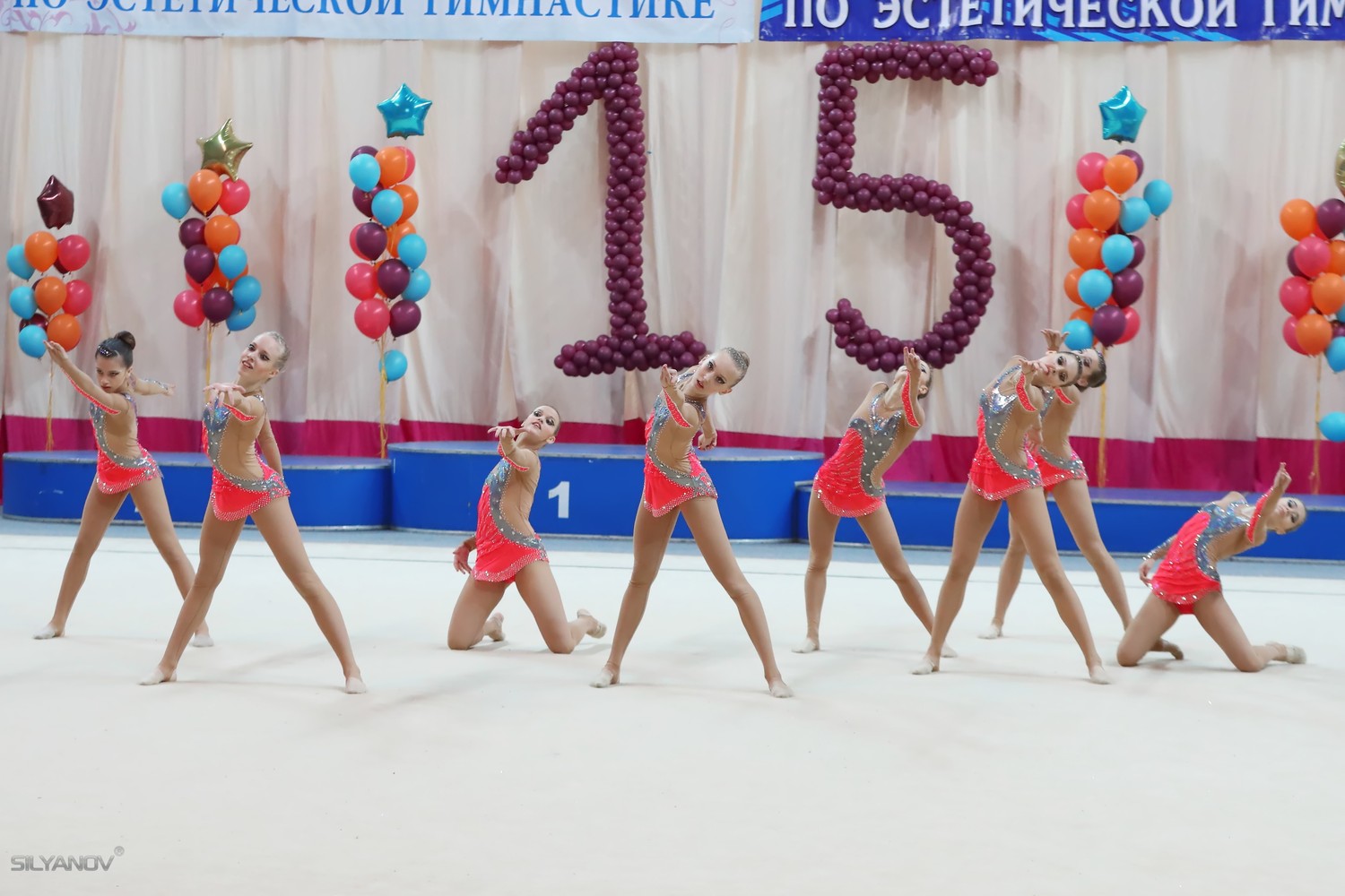 Чемпионат России по эстетической гимнастике (16 апреля 2017) Раменское