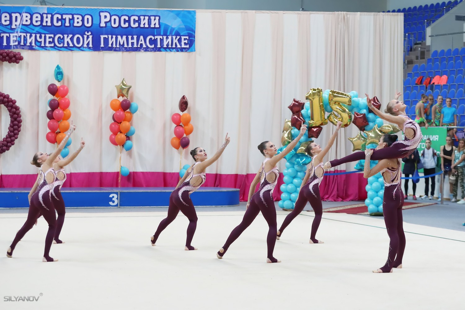 Чемпионат России по эстетической гимнастике (16 апреля 2017) Раменское