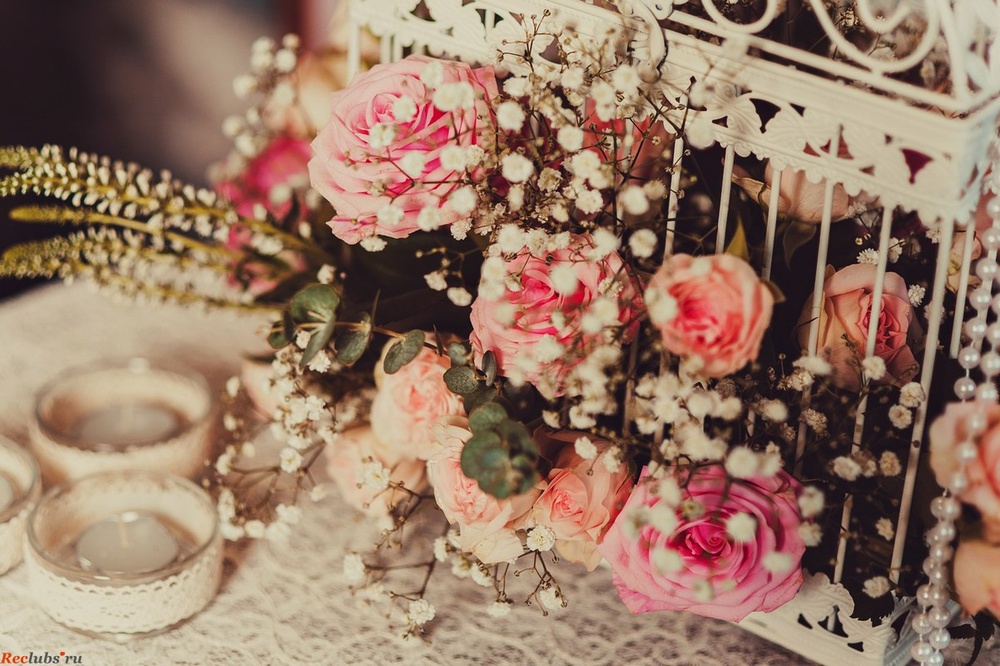Shabby & Lace
