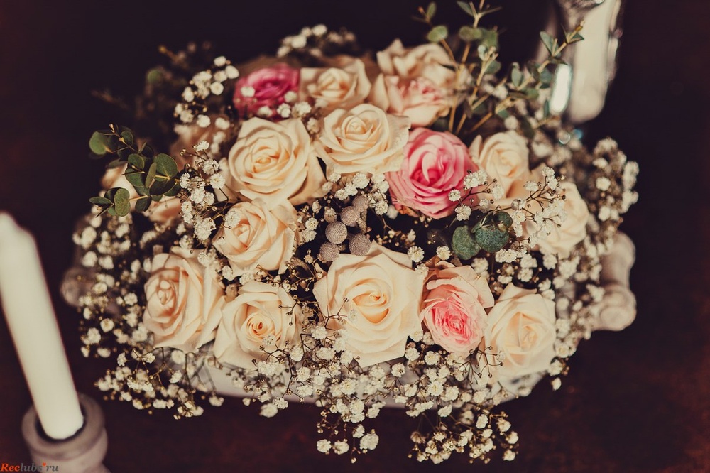 Shabby & Lace