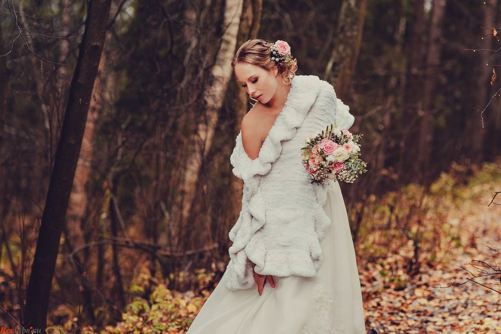 Shabby & Lace