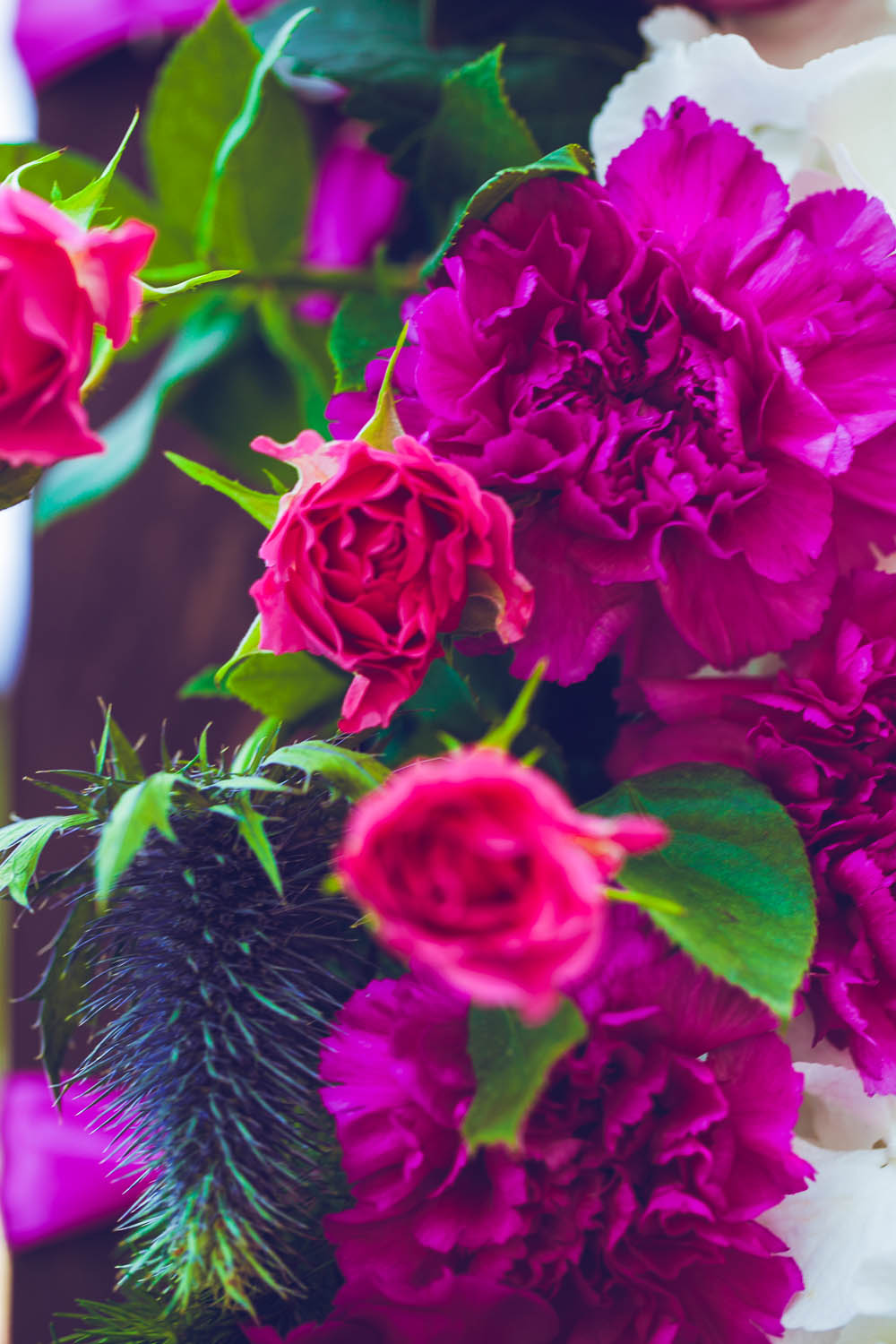 Raspberry dream