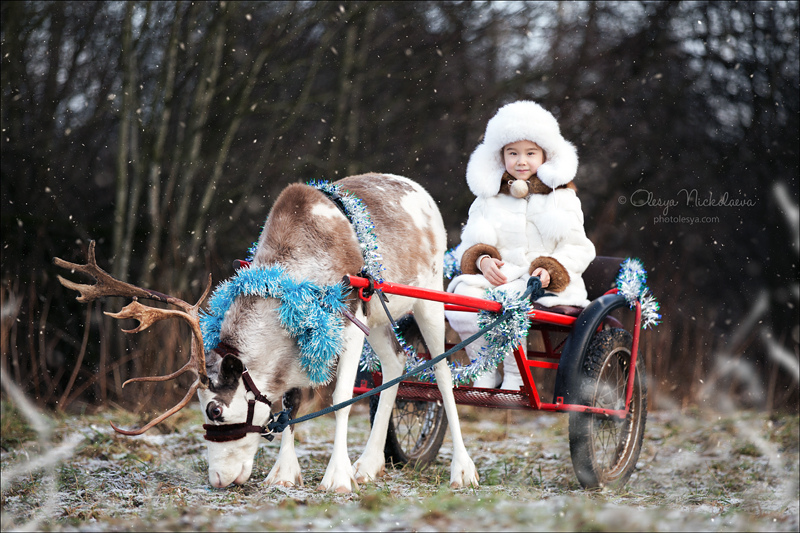  семейные ◆ family photo shoot 