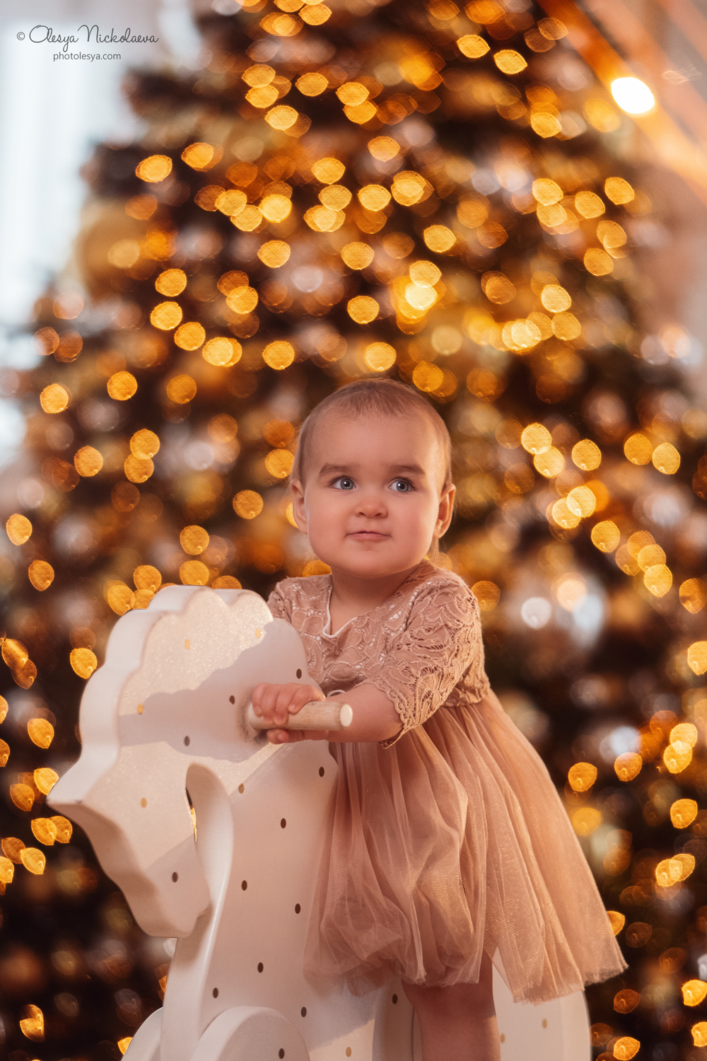  семейные ◆ family photo shoot 