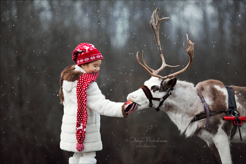  семейные ◆ family photo shoot 