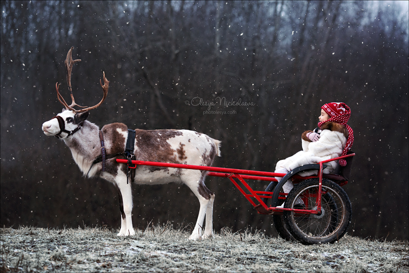  семейные ◆ family photo shoot 