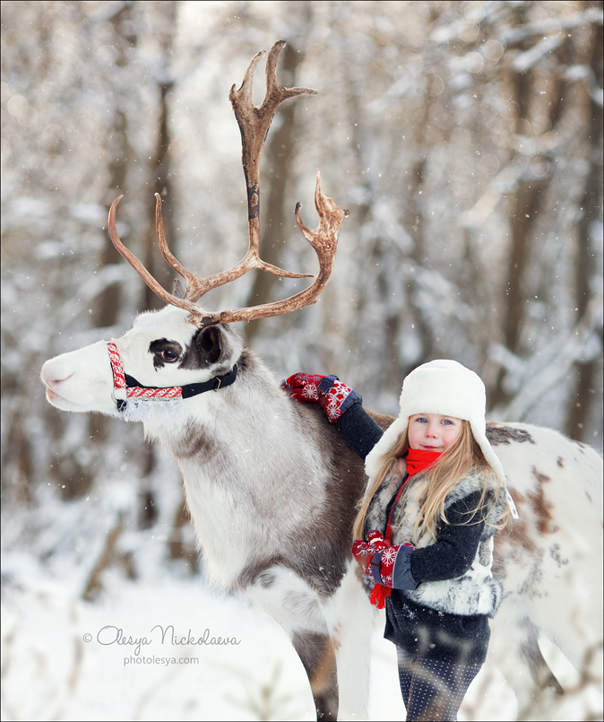  семейные ◆ family photo shoot 