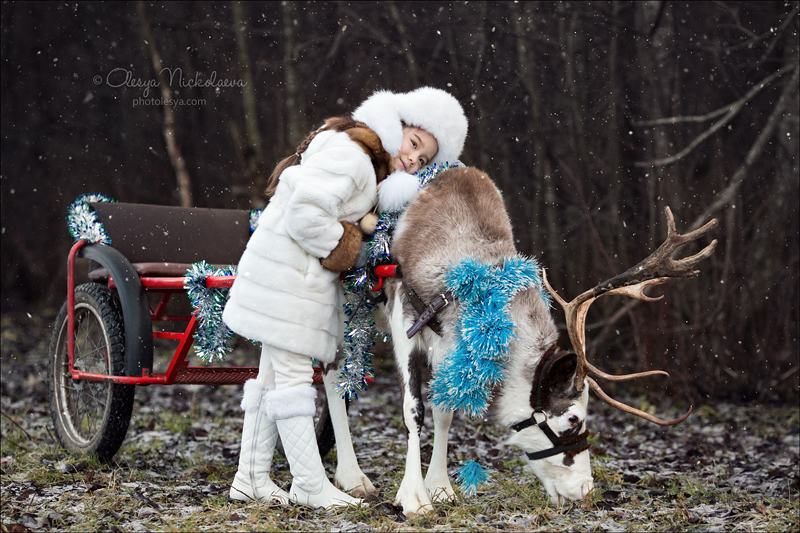  семейные ◆ family photo shoot 