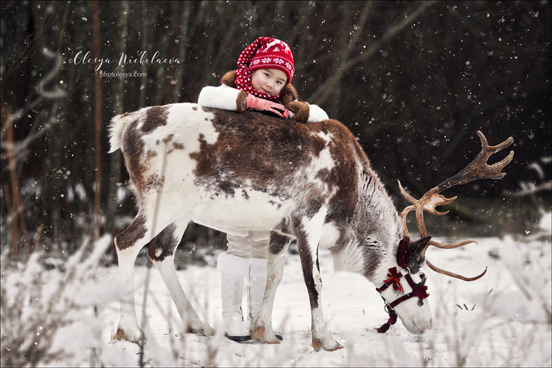  семейные ◆ family photo shoot 