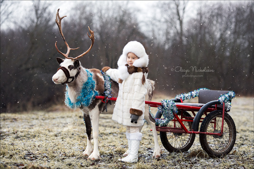  семейные ◆ family photo shoot 