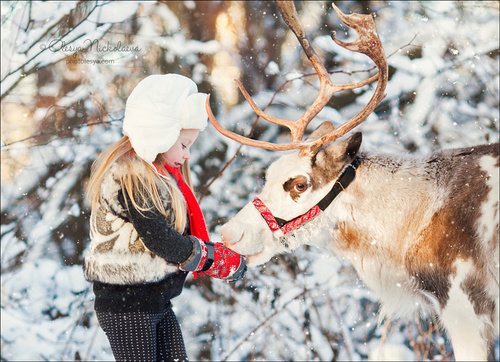  семейные ◆ family photo shoot 