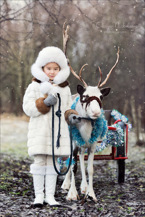 семейные ◆ family photo shoot 
