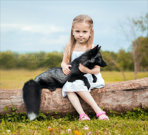  семейные ◆ family photo shoot 