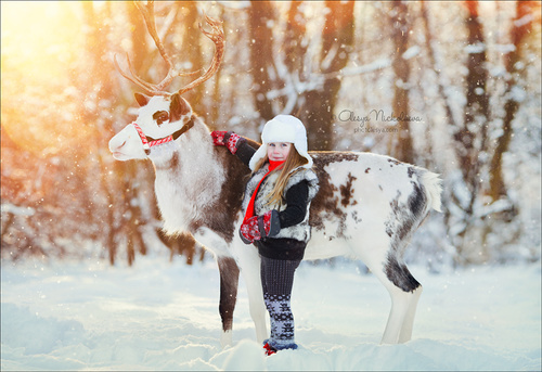  семейные ◆ family photo shoot 