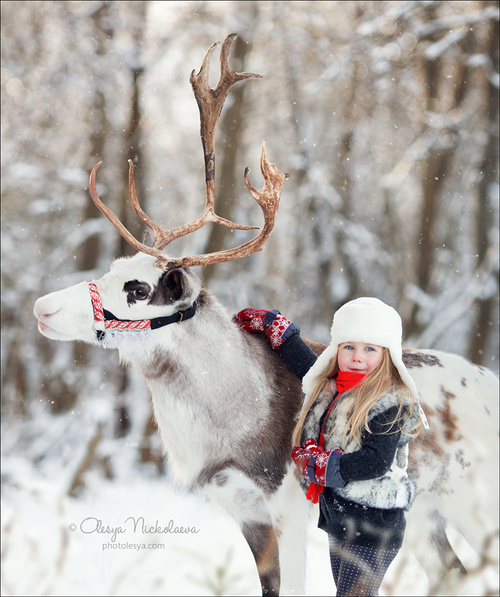  семейные ◆ family photo shoot 