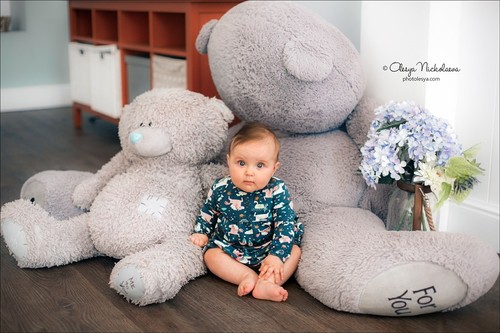  семейные ◆ family photo shoot 