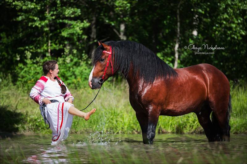  фотосессии с лошадьми ◆ horse and human
