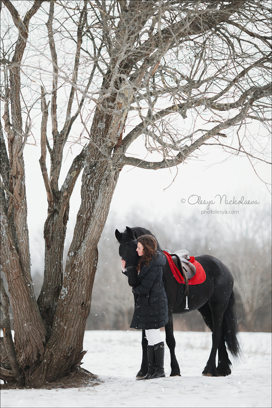  фотосессии с лошадьми ◆ horse and human