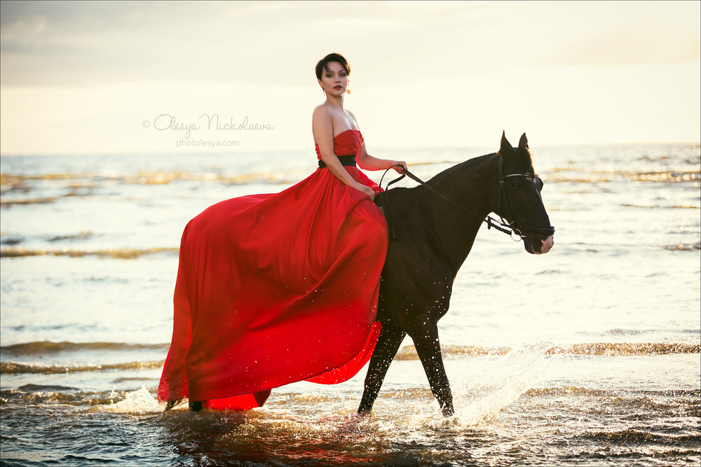  фотосессии с лошадьми ◆ horse and human