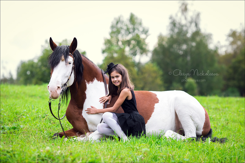  фотосессии с лошадьми ◆ horse and human