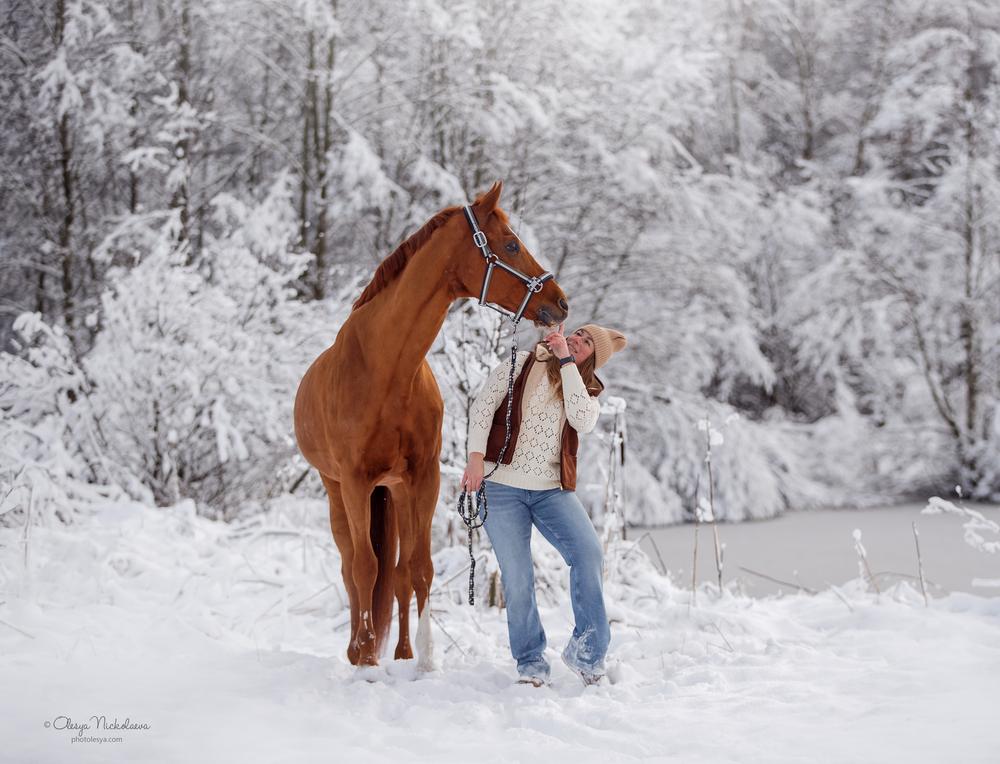  фотосессии с лошадьми ◆ horse and human