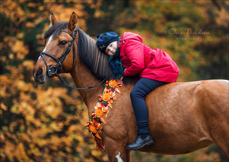  фотосессии с лошадьми ◆ horse and human