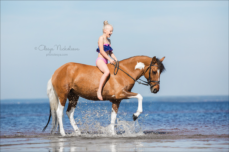  фотосессии с лошадьми ◆ horse and human