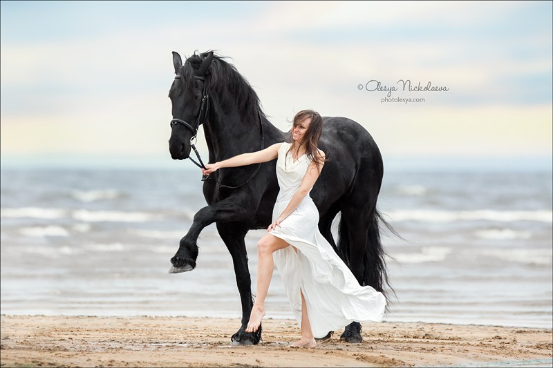  фотосессии с лошадьми ◆ horse and human