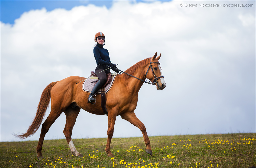  фотосессии с лошадьми ◆ horse and human