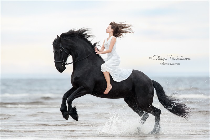  фотосессии с лошадьми ◆ horse and human