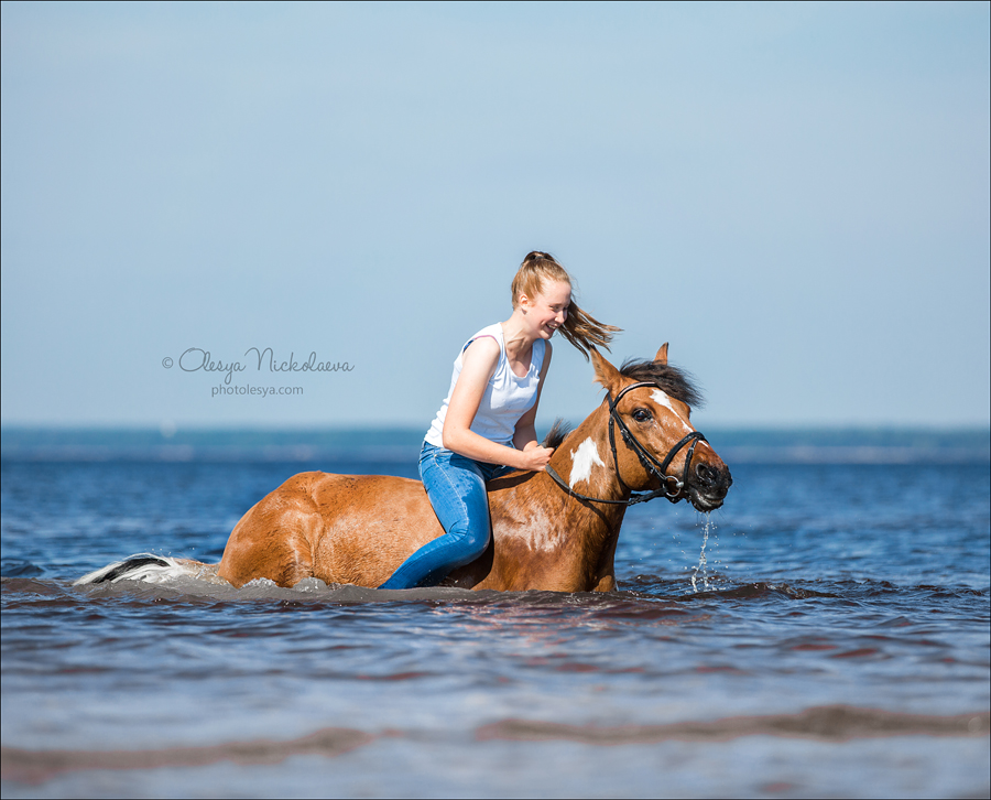  фотосессии с лошадьми ◆ horse and human